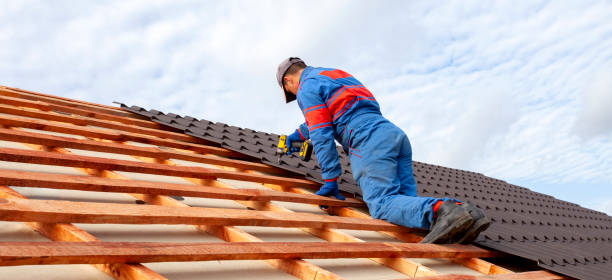 Best Chimney Flashing Repair  in Andalusia, IL